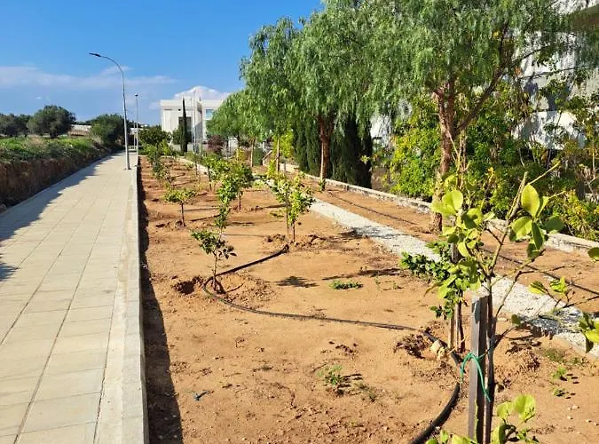 アパート Carme At The - Mythical Sands パラリムニ