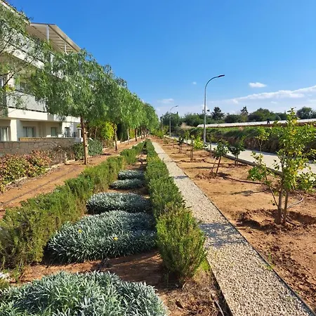 Carme At The - Mythical Sands Daire *